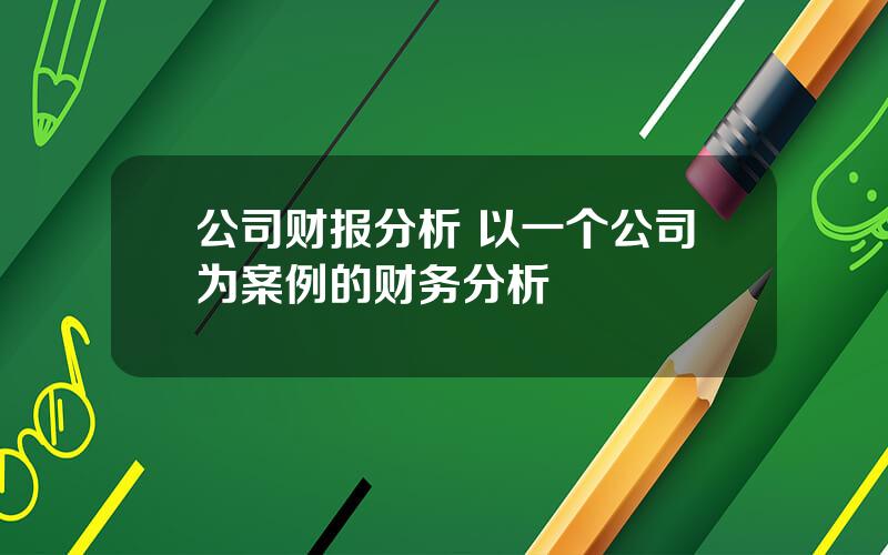 公司财报分析 以一个公司为案例的财务分析